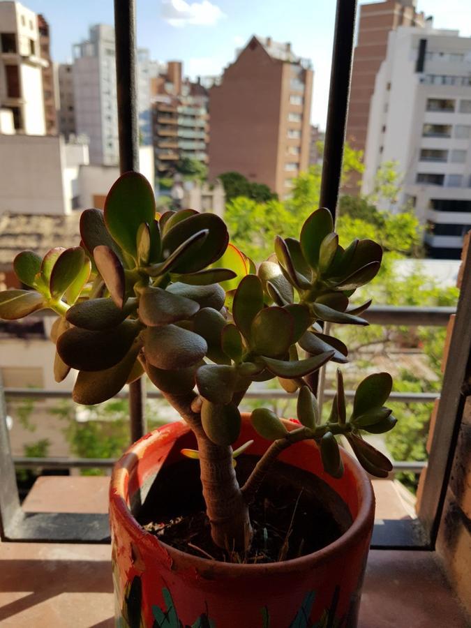 Apartamento Carlucci Córdoba Exterior foto